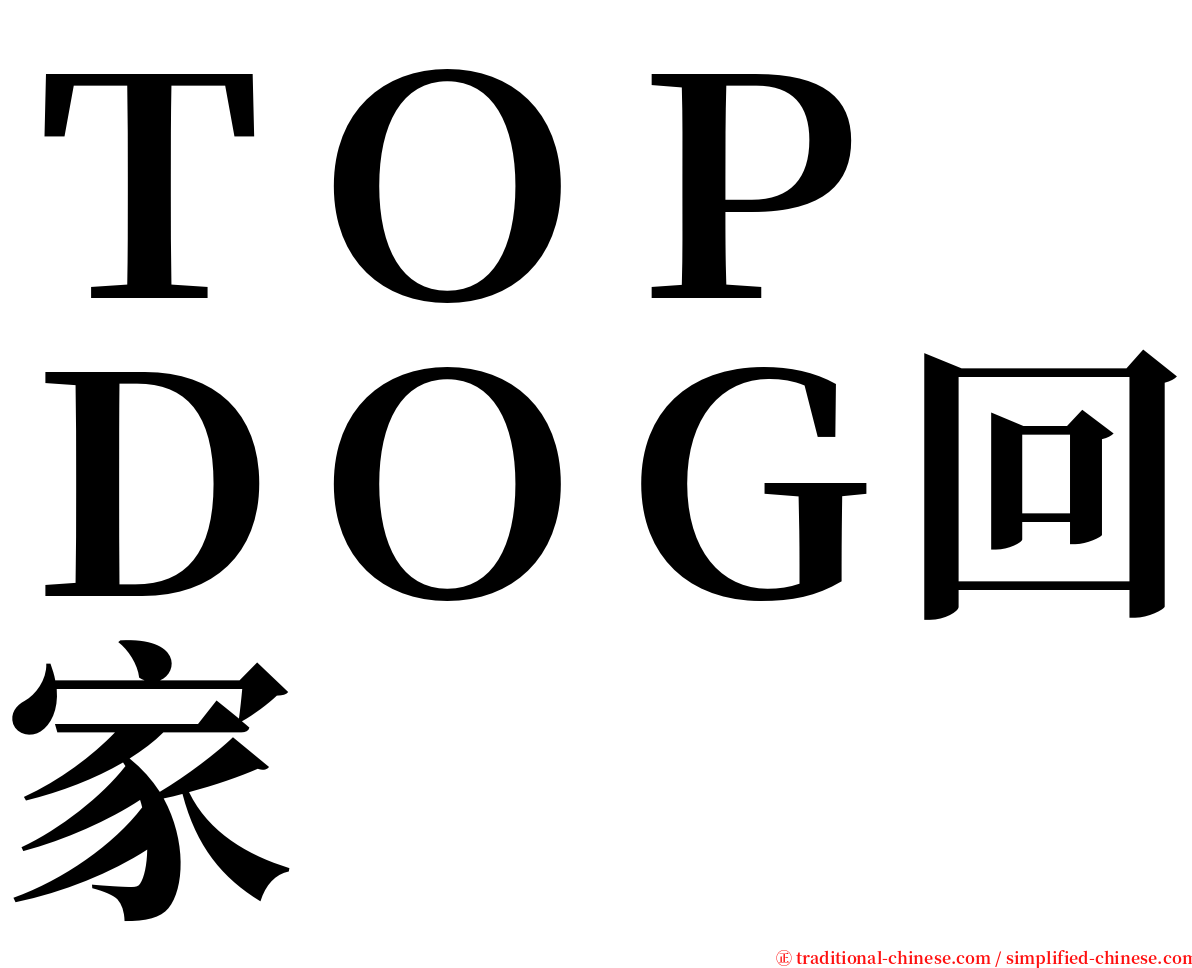 ＴＯＰ　ＤＯＧ回家 serif font